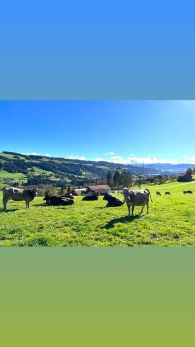 ויילר-זימרברג Allgaeu Cottage - Traumhafter Blick In Die Schweizer Berge מראה חיצוני תמונה