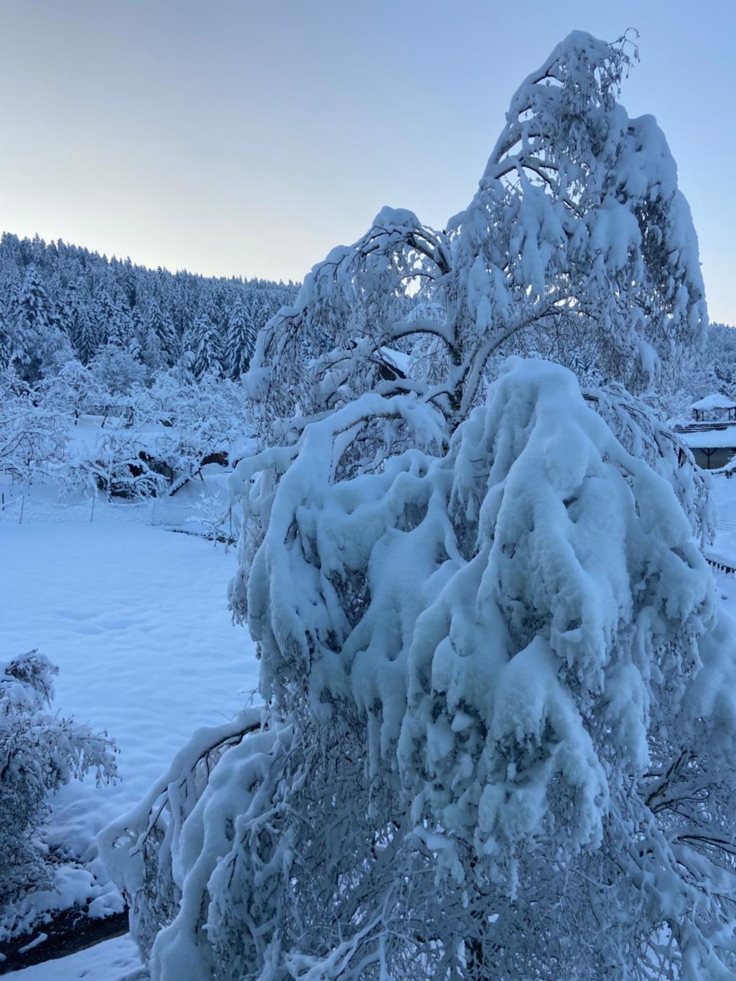 ויילר-זימרברג Allgaeu Cottage - Traumhafter Blick In Die Schweizer Berge מראה חיצוני תמונה